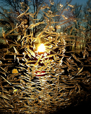 Illustration for article titled Shooting Challenge: Ice, Gallery 2